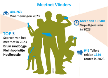 Statistieken van het Meetnet Vlinders