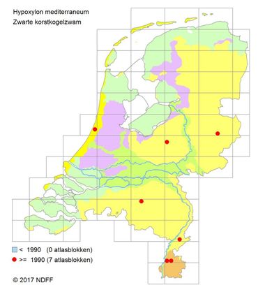 Verspreiding van de Zwarte korstkogelzwam