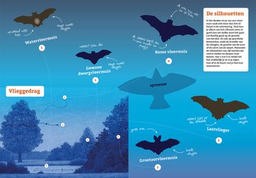 Zoekkaart Vleermuizen