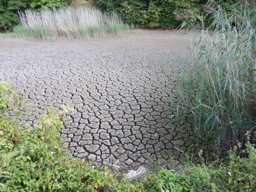 Verdroogde gracht