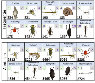 Figuur 3. Overzicht van de tien soorten die op de meeste plekken zijn aangetroffen (frequentie) en van de top 10 soorten met de meeste individuen (aantallen), waarbij de watervlo-achtigen buiten beschouwing zijn gelaten. Per soort is het rangnummer in 2019 (linksboven) en 2018 (rechtsboven) weergegeven. Het getal linksonder geeft het aantal locaties waar de soort is waargenomen (Frequentie) of het totaal aantal individuen (Aantallen).