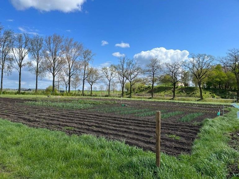 Het Nieuwe Land – moestuin aan de Lekdijk 