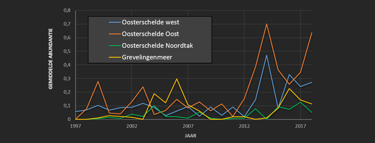 Voorkomen van de waaiergarnaal in verschillende gebieden binnen Zeeuwse Delta. Zie voor methode Het Duiken Gebruiken.