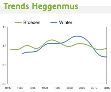 Trend aantalsontwikkeling Heggenmus: broedvogels en overwinteraars