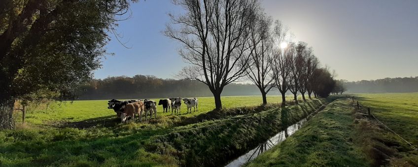 Werken aan kleinschalig landschap Brummen