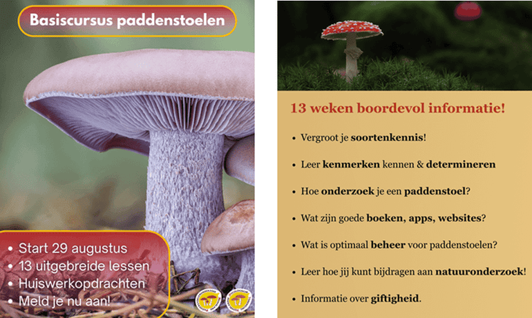 Een cursus boordevol informatie