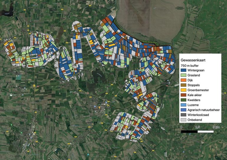 Figuur 1. Verspreiding gewassen in het studiegebied waar de roofvogelroutes en foerageerprotocollen werden uitgevoerd