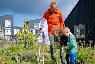 Tijdens de Bijentelling in 2021 telden een recordaantal mensen mee: ruim 11.000. Bij elkaar telden ze meer dan 200.000 bijen en zweefvliegen 