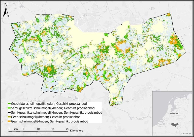 Potentieel geschikte en semi-geschikte leefgebieden voor de wilde kat, op basis van verwachte schuil- en foerageermogelijkheden, in het zuidoosten van de provincie Noord-Brabant. Het lichtgele gebied op de kaart geeft de buffers aan rondom steden en dorpen en is niet meegenomen in de analyses. Het overige terrein binnen het gebied valt buiten de 75-meterrichtlijn van bossen en is ook niet meegenomen