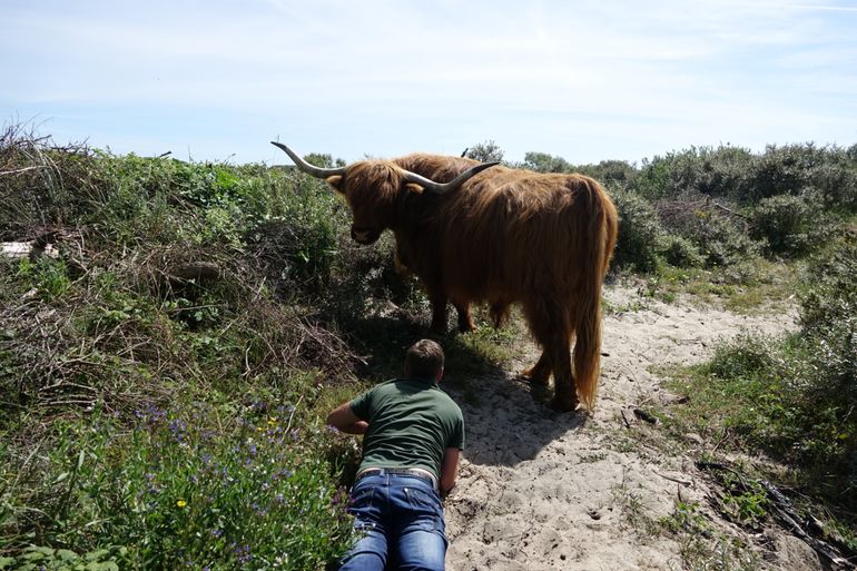 Houd afstand. Minimaal 25 meter; in gebieden met wisenten 50 meter.