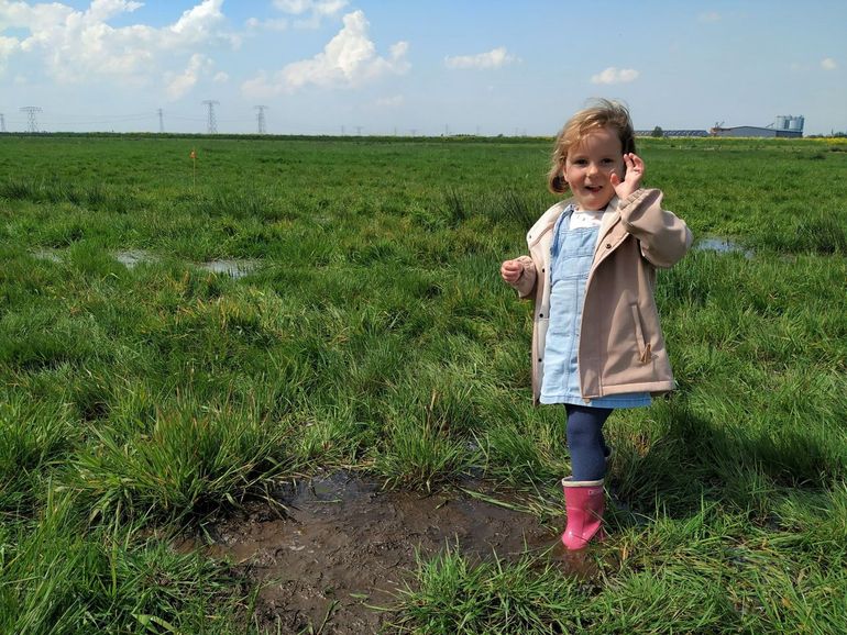 Natte voeten in de veenweide door het verhoogde waterpeil