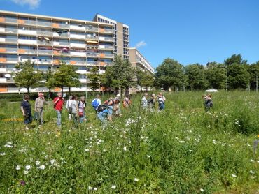 Veel mensen waarderen natuurlijk stedelijk groen