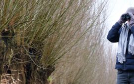 Peter Eekelder Vogels tellen in de winter