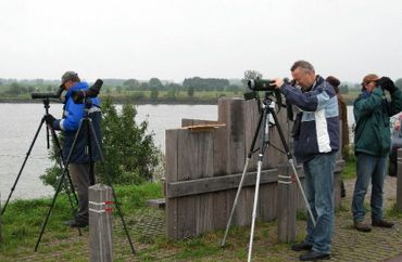 Trektellers op telpost De Horde nabij Lopik