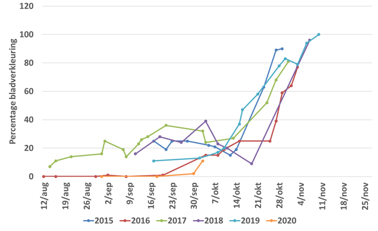 Verloop van het percentage verkleurde bladeren van een zomereik bij basisschool De Vlinderboom in de jaren 2016 tot en met 3 oktober 2020