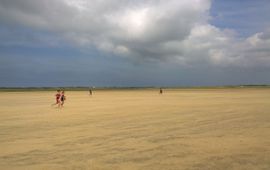 Sander Turnhout Hardloopsafari op Oerol