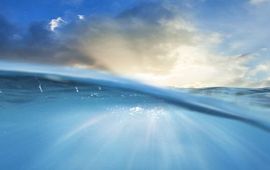 WMR (shutterstock) eenmalig en exclusief WMR