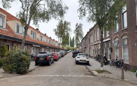 Met berken beplante 'Os en Paardenlaan', een voorbeeld van een straat met sterk allergene bomen (credit: Naturalis)