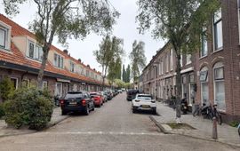 Naturalis Biodiversity Center Met berken beplante 'Os en Paardenlaan', een voorbeeld van een straat met sterk allergene bomen (credit: Naturalis)