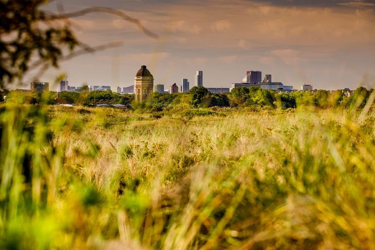 Hollandse Duinen: voorbeeld van een Nationaal Park 3.0