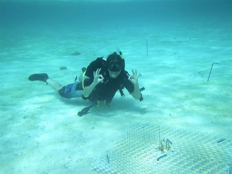 De installatie van de biologisch afbreekbare structuren voor ondergedoken zeegrasvelden werd uitgevoerd door duikers
