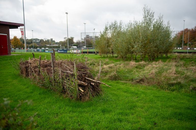 Takkenril bij de hockeyvelden van GMHC in Goor