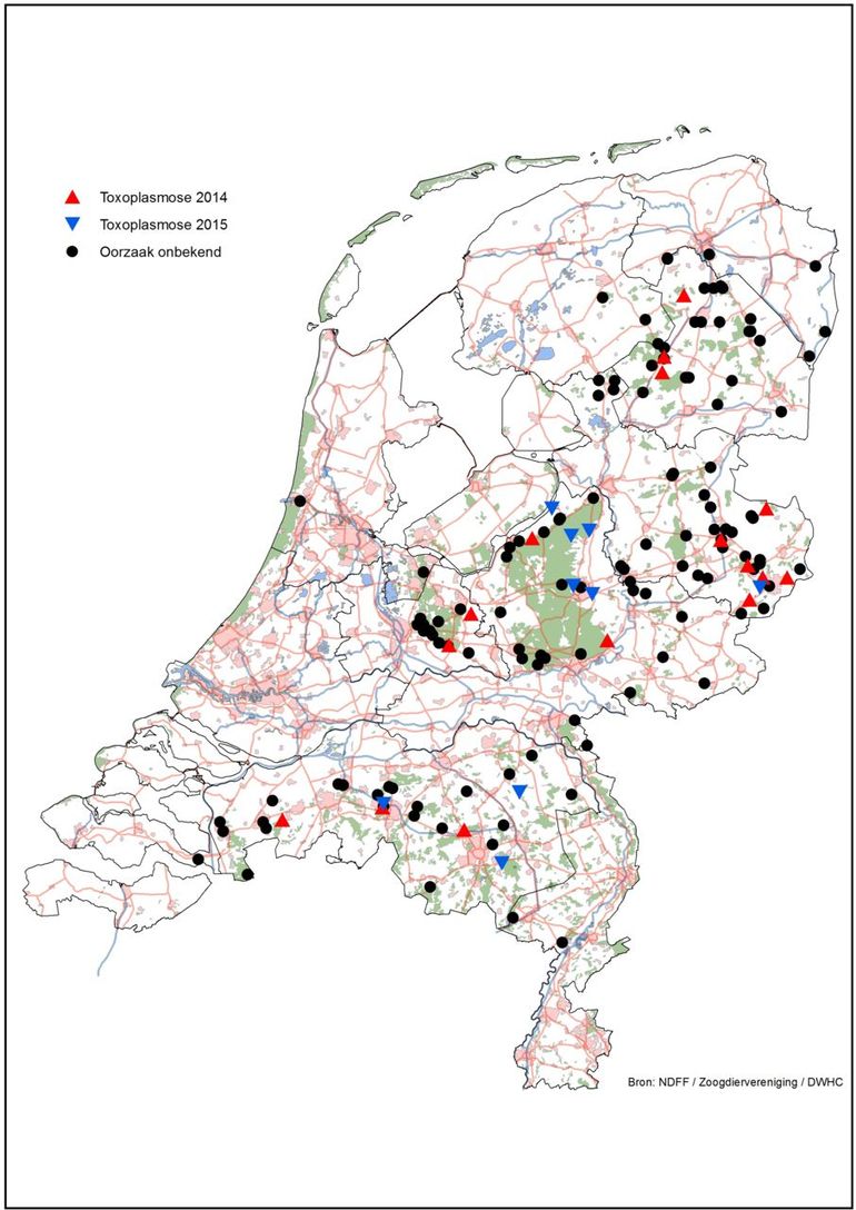 Locaties waar aan toxoplasmose gestorven eekhoorns zijn aangetroffen in 2014 en 2015 en locaties waar dode eekhoorns werden gemeld die niet onderzocht zijn en waarbij de doodsoorzaak onduidelijk is