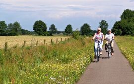 fietsers langs landbouw en bloemrijke berm in Stadskanaal, Alteveer