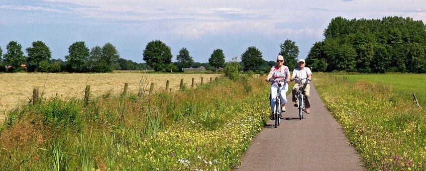 fietsers langs landbouw en bloemrijke berm in Stadskanaal, Alteveer