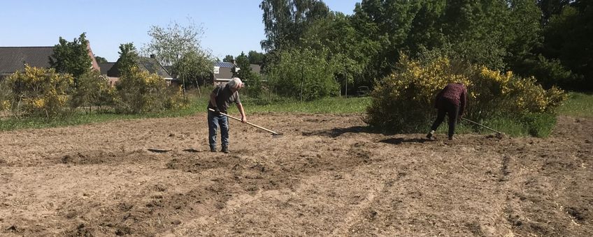 werken aan bloemenwei Lepidoptarium