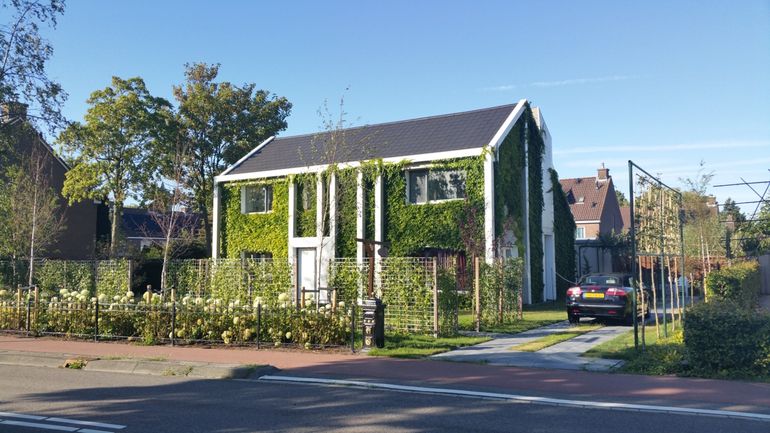 Huis met groene gevel