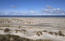 De vorming van jonge duinen op het strand langs de Noordzeekust