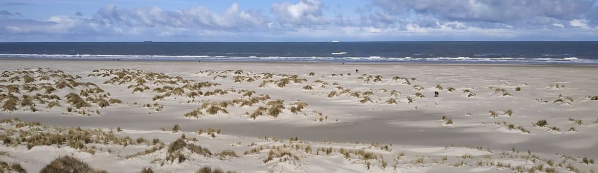 De vorming van jonge duinen op het strand langs de Noordzeekust