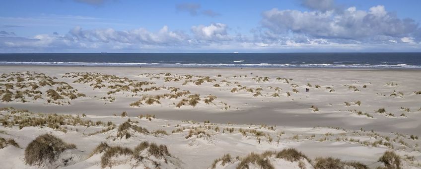 De vorming van jonge duinen op het strand langs de Noordzeekust