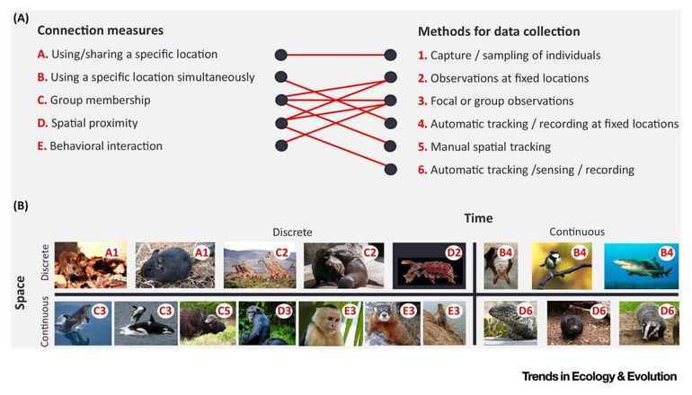 Measures and methods for quantifying animal social networks