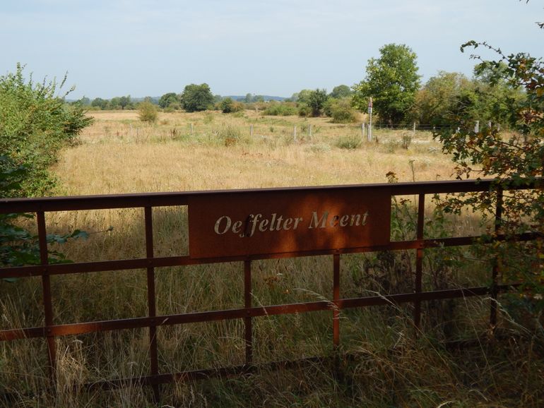 Het hek van de Oeffelter Meent