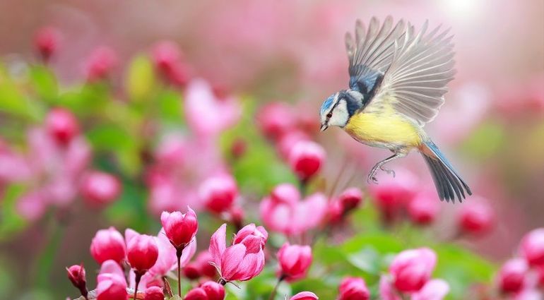 Een tuinliefhebber die voor bestrijdingsmiddelen zwicht, zal meer dan onkruid en slakken verliezen