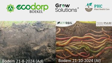 Huidige versus toekomstige bodem