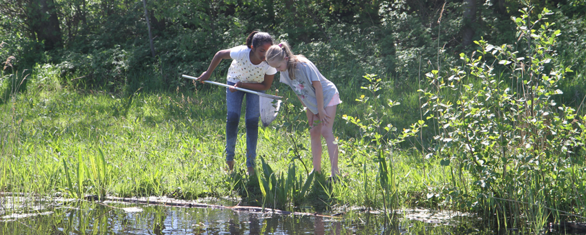 Waterdiertjes vangen GLOBE-leerlingen