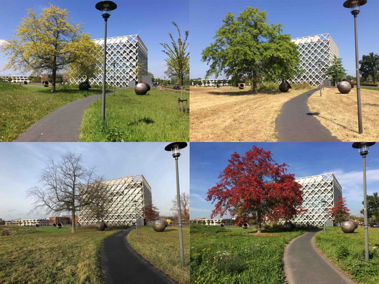 Locatie: Atlasgebouw Campus Wageningen University & Research, eerste foto: 30 september 2016, aantal foto’s in timelapse: 55