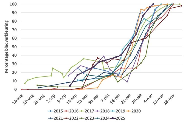 Figuur 5: Verloop van het percentage verkleurde bladeren van de zomereik bij basisschool De Vlinderboom in Ede in de jaren 2015 tot en met 2025. De dikke donkerblauwe lijn is 2025