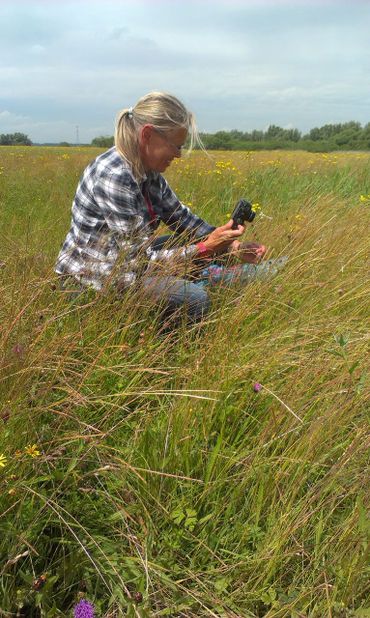 Leni Duistermaat maakt foto's van planten in het veld