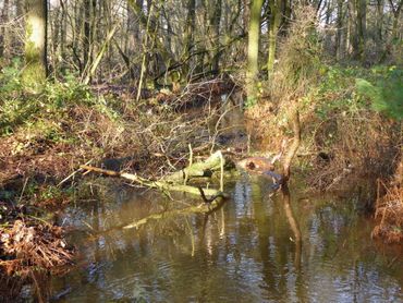 Inbrengen van hout leidt al snel tot variatie in stroming 