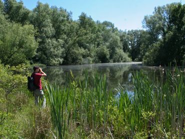 Libellenroutes in het meetnet liggen meestal langs de waterkant van sloten, vijvers of plassen