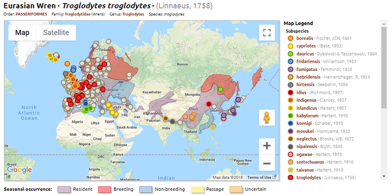 Overzichtskaart van de opnamen van de winterkoning (Troglodytes troglodytes), met daarop het bekende verspreidingsgebied gemarkeerd en verschillende ondersoorten weergegeven als gekleurde stippen