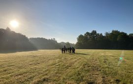 Mensen wandelen in de natuur,  Landgoed De Boom Leusden