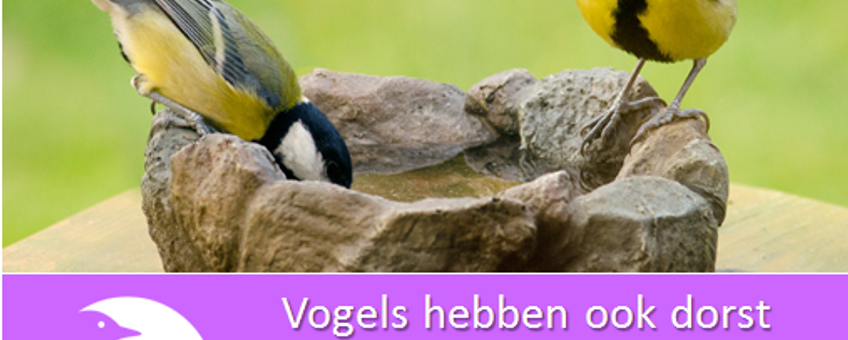Banner Vivara waterschalen