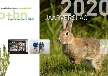 Voorkant jaarverslag 2020