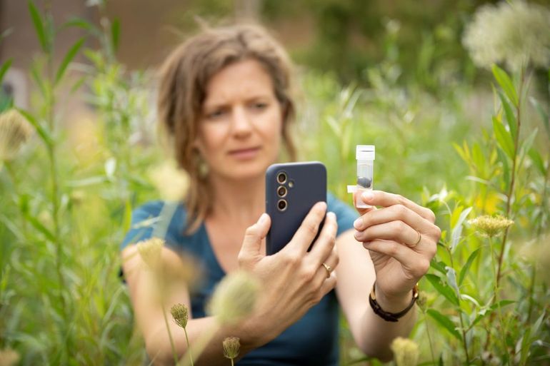 Monsters nemen voor ARISE: zoveel dat er een speciale app voor ontwikkeld werd