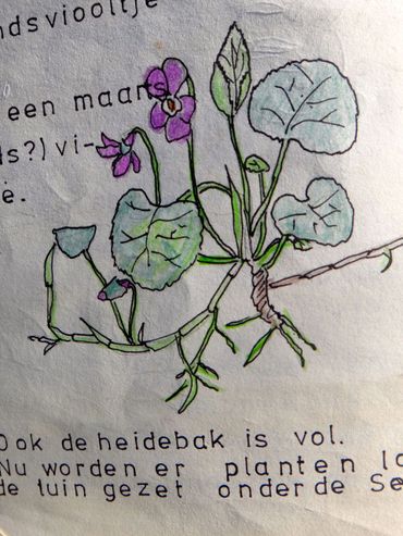 Tuinschriftje uit 1972